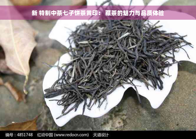 新 特制中茶七子饼茶黄印： 藏茶的魅力与品质体验