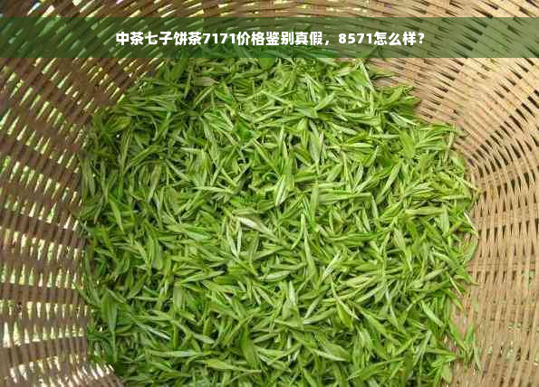 中茶七子饼茶7171价格鉴别真假，8571怎么样？