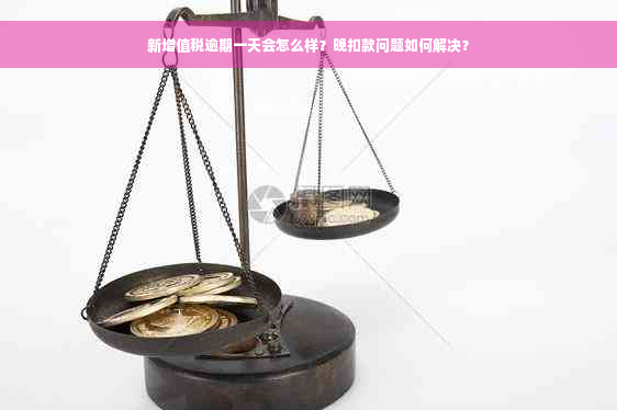 新增值税逾期一天会怎么样？晚扣款问题如何解决？