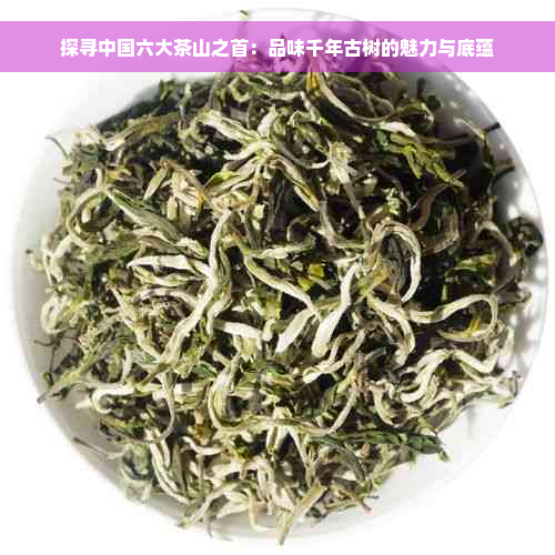 探寻中国六大茶山之首：品味千年古树的魅力与底蕴