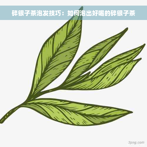 碎银子茶泡发技巧：如何泡出好喝的碎银子茶