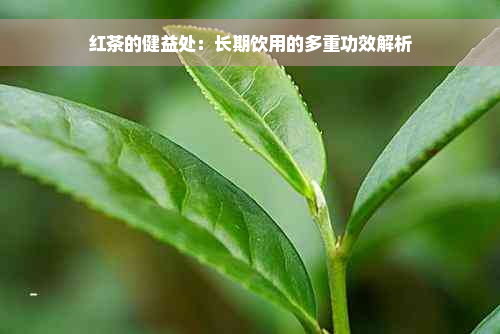 红茶的健益处：长期饮用的多重功效解析