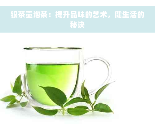 银茶壶泡茶：提升品味的艺术，健生活的秘诀