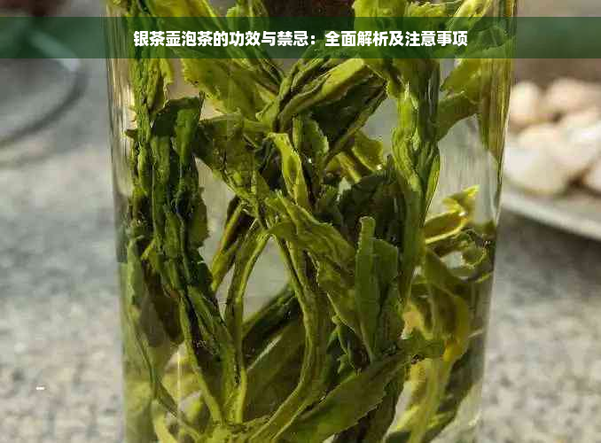 银茶壶泡茶的功效与禁忌：全面解析及注意事项