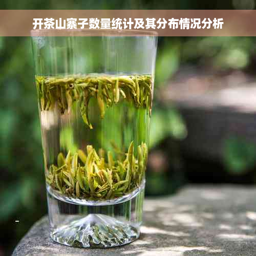 开茶山寨子数量统计及其分布情况分析