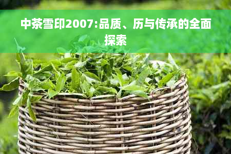 中茶雪印2007:品质、历与传承的全面探索