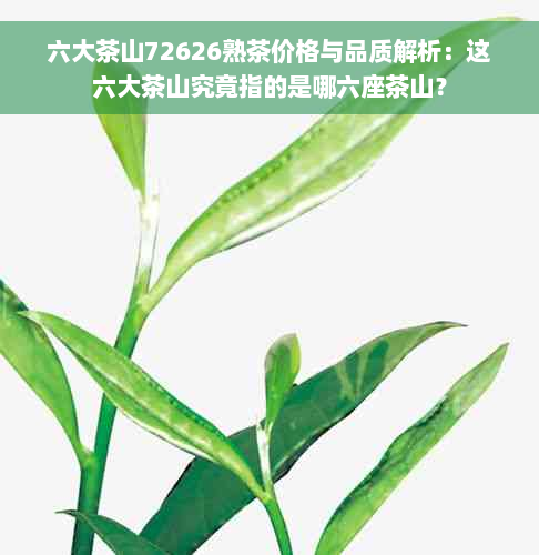 六大茶山72626熟茶价格与品质解析：这六大茶山究竟指的是哪六座茶山？