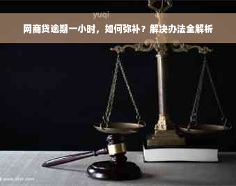 网商贷逾期一小时，如何弥补？解决办法全解析