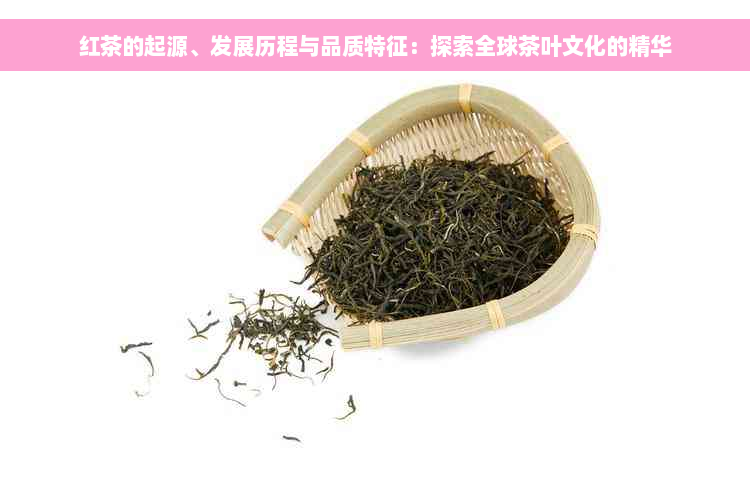 红茶的起源、发展历程与品质特征：探索全球茶叶文化的精华