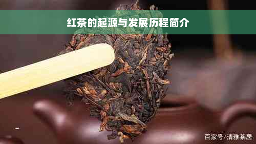 红茶的起源与发展历程简介