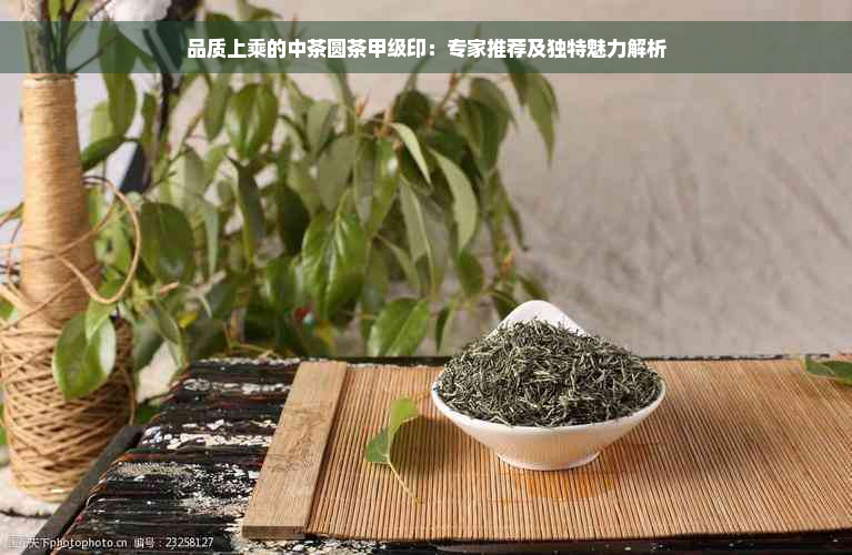 品质上乘的中茶圆茶甲级印：专家推荐及独特魅力解析