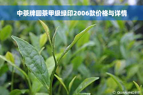 中茶牌圆茶甲级绿印2006款价格与详情