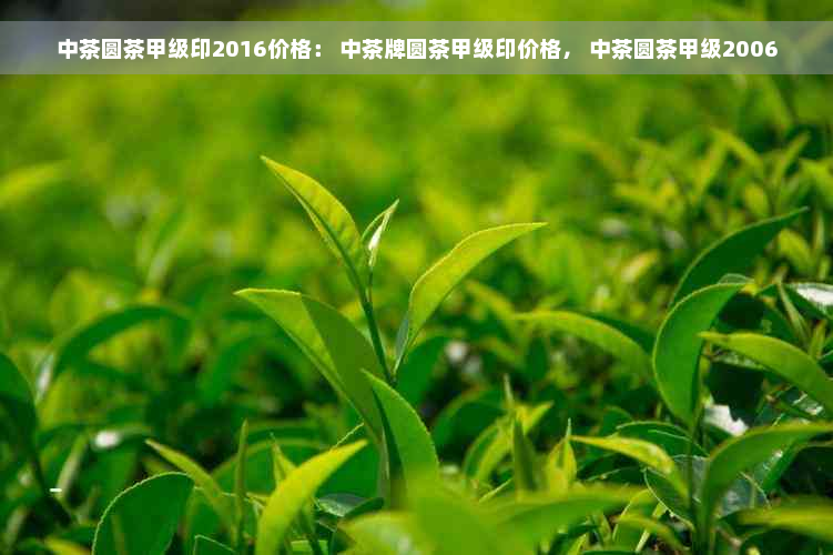 中茶圆茶甲级印2016价格： 中茶牌圆茶甲级印价格， 中茶圆茶甲级2006