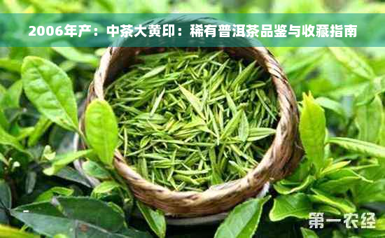 2006年产：中茶大黄印：稀有普洱茶品鉴与收藏指南