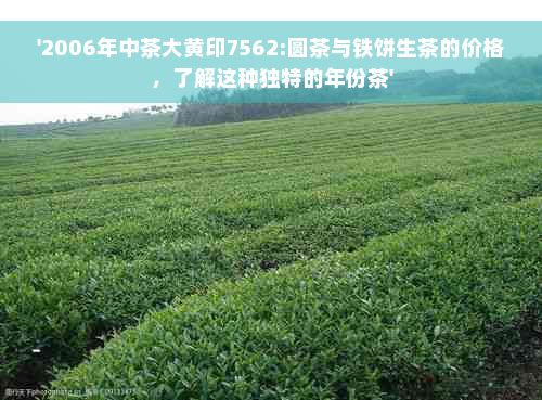 '2006年中茶大黄印7562:圆茶与铁饼生茶的价格，了解这种独特的年份茶'