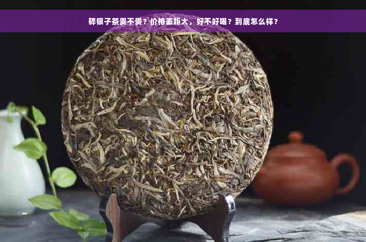 碎银子茶贵不贵？价格差距大，好不好喝？到底怎么样？