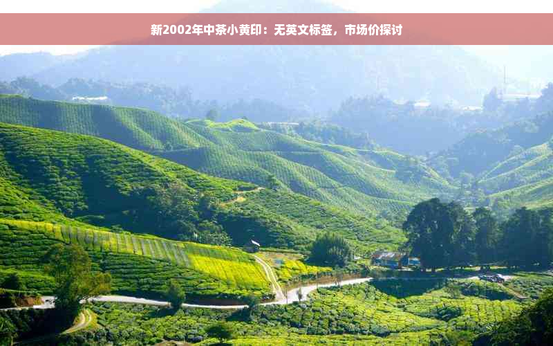 新2002年中茶小黄印：无英文标签，市场价探讨