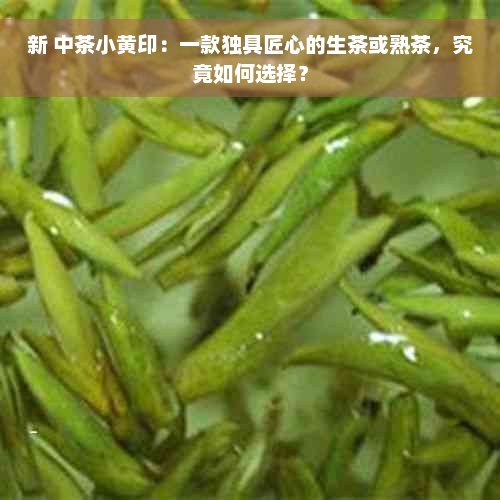 新 中茶小黄印：一款独具匠心的生茶或熟茶，究竟如何选择？