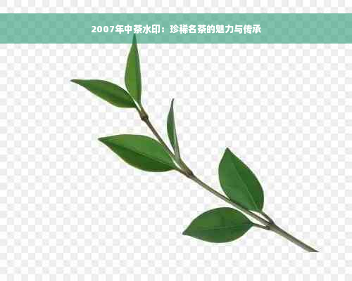 2007年中茶水印：珍稀名茶的魅力与传承