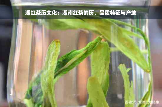 湖红茶历文化：湖南红茶的历、品质特征与产地