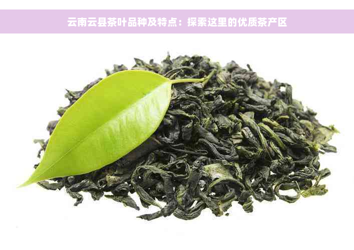 云南云县茶叶品种及特点：探索这里的优质茶产区