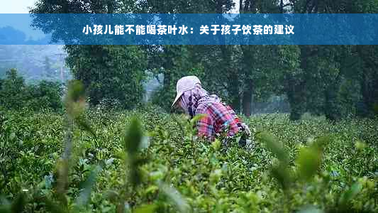 小孩儿能不能喝茶叶水：关于孩子饮茶的建议