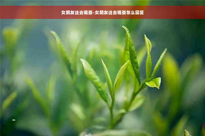 女朋友说去喝茶-女朋友说去喝茶怎么回复