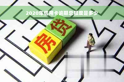 2020年信用卡逾期总额度是多少