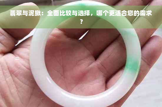 翡翠与泥鳅：全面比较与选择，哪个更适合您的需求？