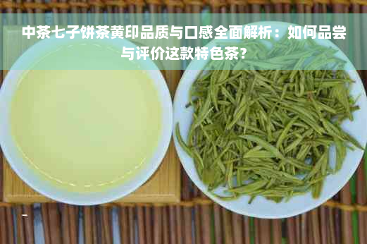 中茶七子饼茶黄印品质与口感全面解析：如何品尝与评价这款特色茶？