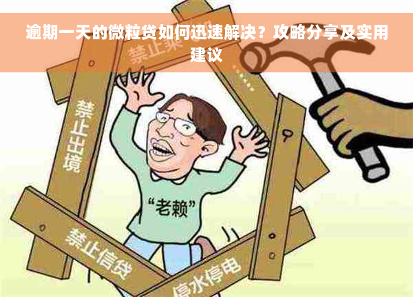 逾期一天的微粒贷如何迅速解决？攻略分享及实用建议