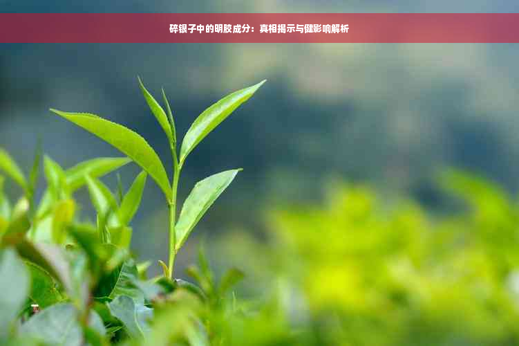 碎银子中的明胶成分：真相揭示与健影响解析