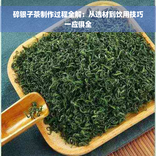 碎银子茶制作过程全解：从选材到饮用技巧一应俱全