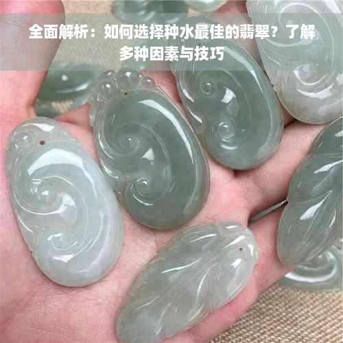 全面解析：如何选择种水更佳的翡翠？了解多种因素与技巧