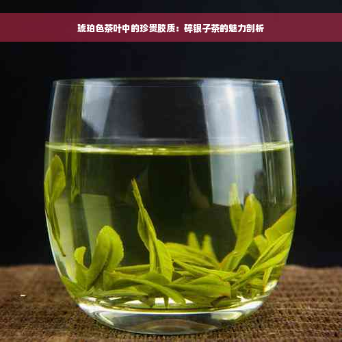 琥珀色茶叶中的珍贵胶质：碎银子茶的魅力剖析