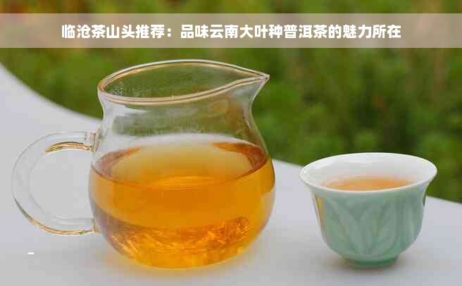 临沧茶山头推荐：品味云南大叶种普洱茶的魅力所在