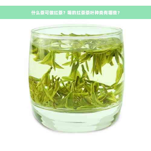 什么茶可做红茶？喝的红茶茶叶种类有哪些？