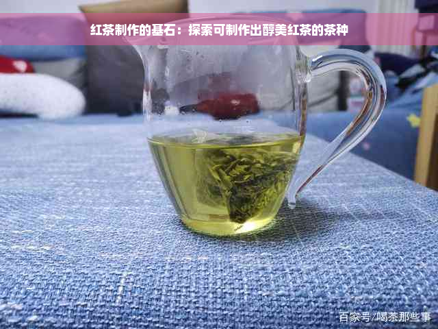 红茶制作的基石：探索可制作出醇美红茶的茶种