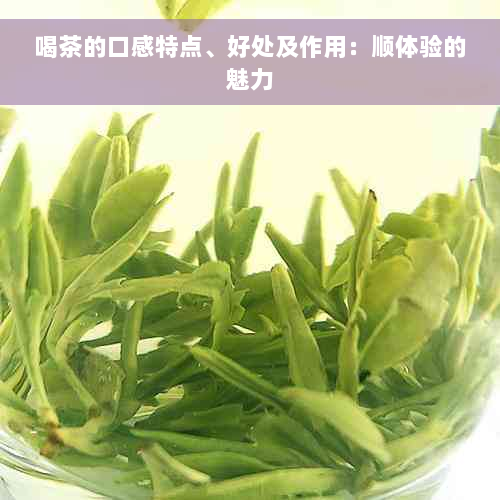 喝茶的口感特点、好处及作用：顺体验的魅力