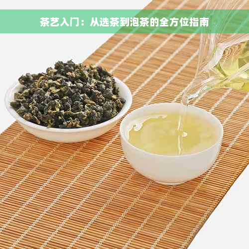 茶艺入门：从选茶到泡茶的全方位指南