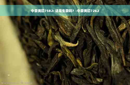 中茶黄印7582: 这是生茶吗？-中茶黄印7262