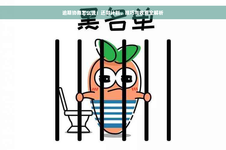 逾期协商怎么说：还款计划、技巧与收费全解析