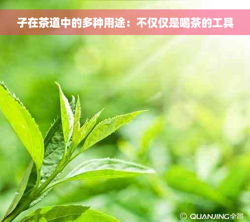 子在茶道中的多种用途：不仅仅是喝茶的工具