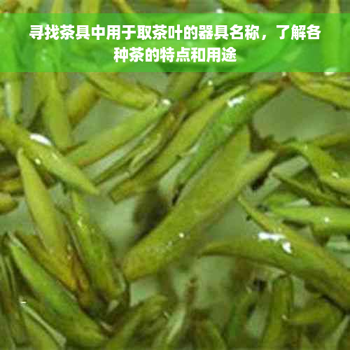 寻找茶具中用于取茶叶的器具名称，了解各种茶的特点和用途