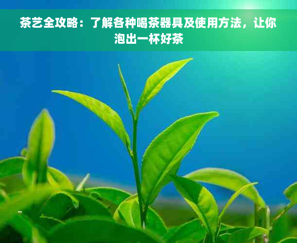 茶艺全攻略：了解各种喝茶器具及使用方法，让你泡出一杯好茶