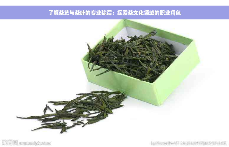 了解茶艺与茶叶的专业称谓：探索茶文化领域的职业角色