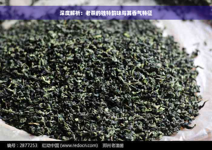 深度解析：老茶的独特韵味与其香气特征