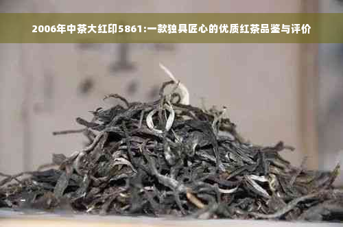 2006年中茶大红印5861:一款独具匠心的优质红茶品鉴与评价