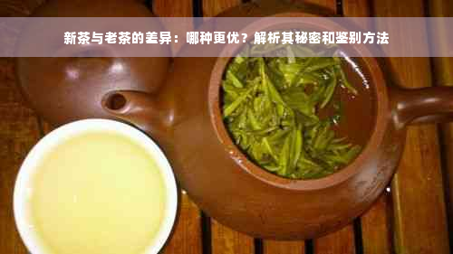 新茶与老茶的差异：哪种更优？解析其秘密和鉴别方法