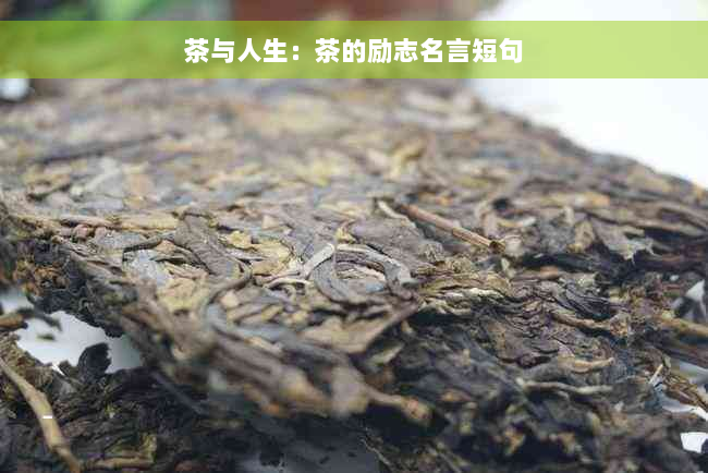 茶与人生：茶的励志名言短句